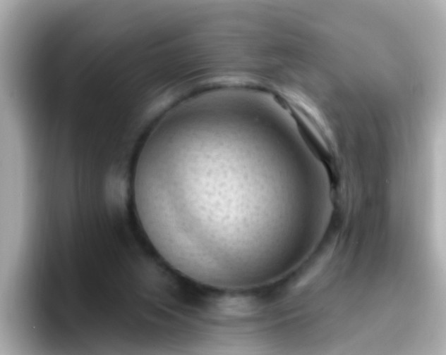 X0000096680063200802121220