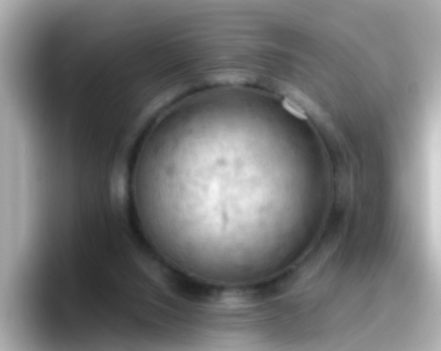 X0000096680064200802121220