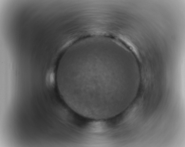 X0000096680067200802121220