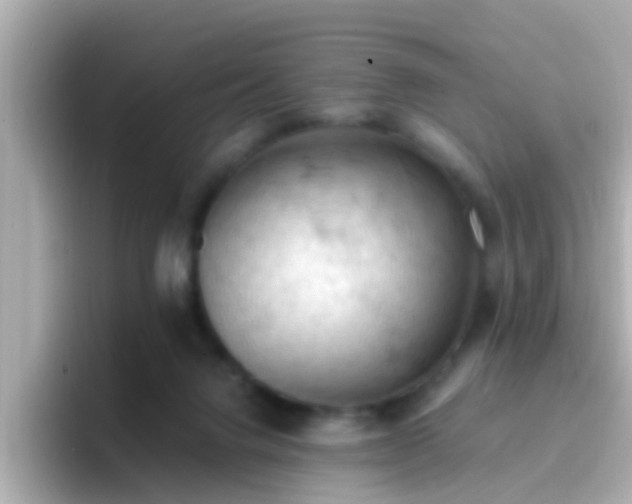 X0000096680072200802121220