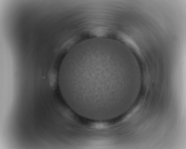 X0000096680073200802121220