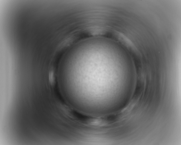 X0000096680074200802121220
