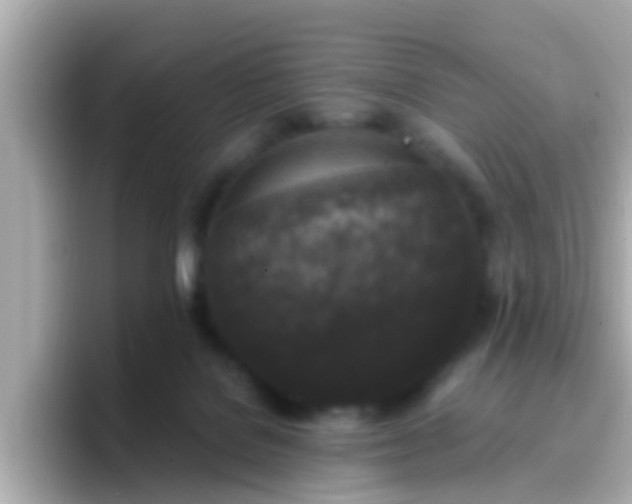 X0000096680076200802121220