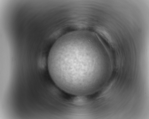 X0000096680077200802121220