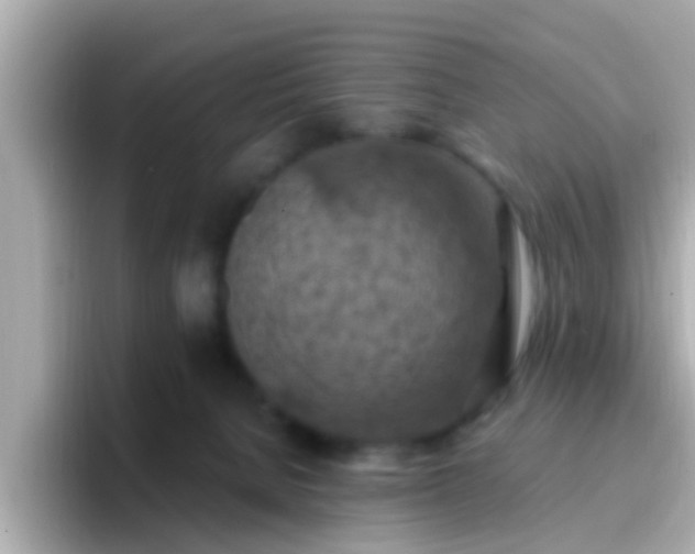 X0000096680080200802121220