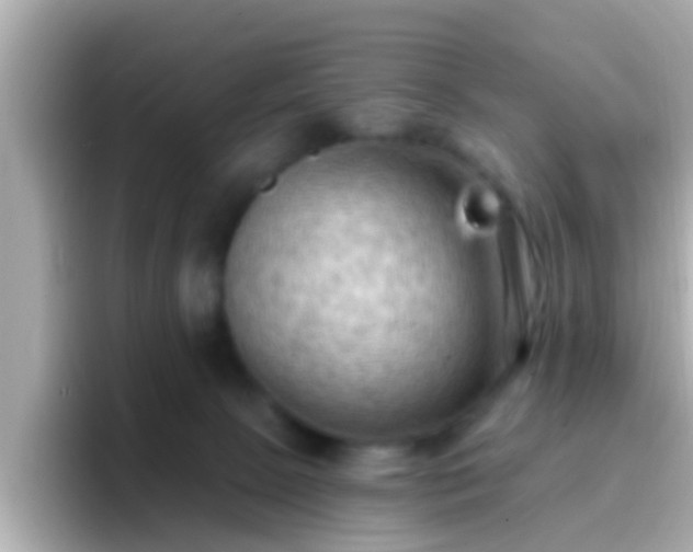 X0000096680081200802121220