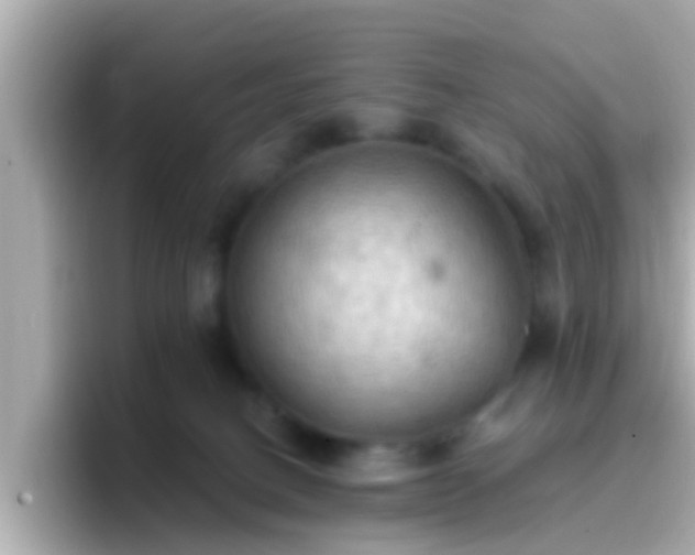 X0000096680082200802121220
