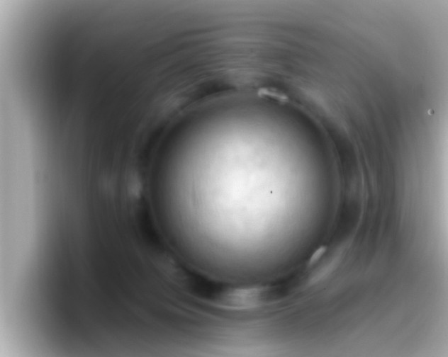 X0000096680084200802121220