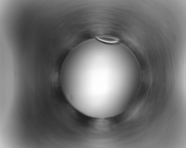 X0000096680087200802121220