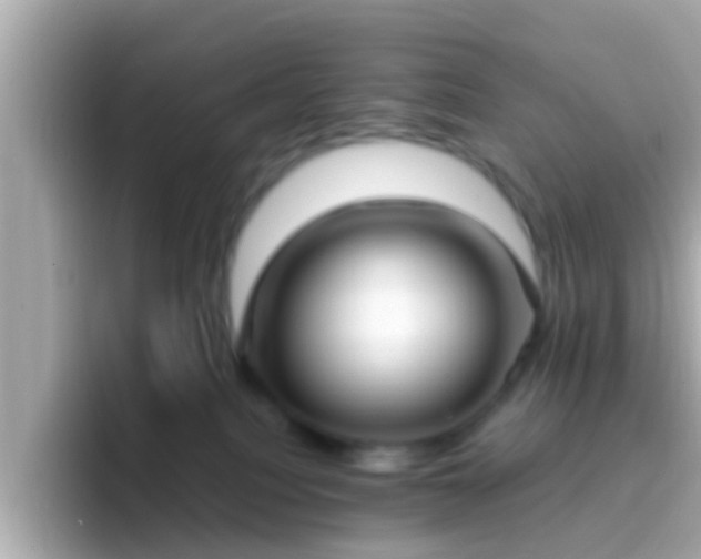 X0000096680088200802121220