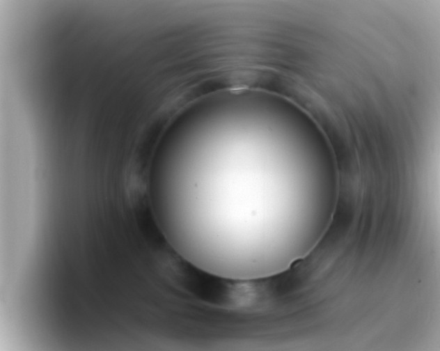 X0000096680091200802121220