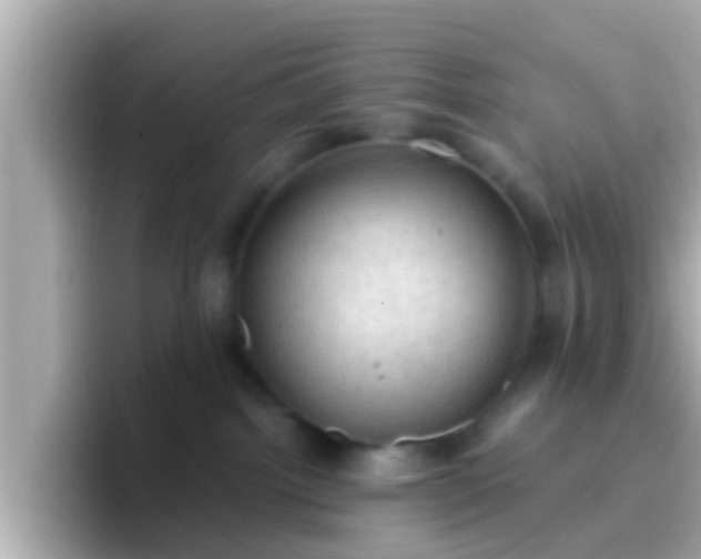 X0000096680092200802121220
