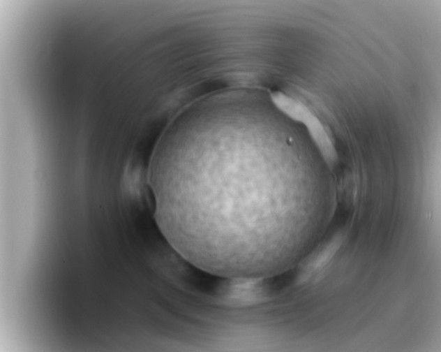 X0000096680093200802121220