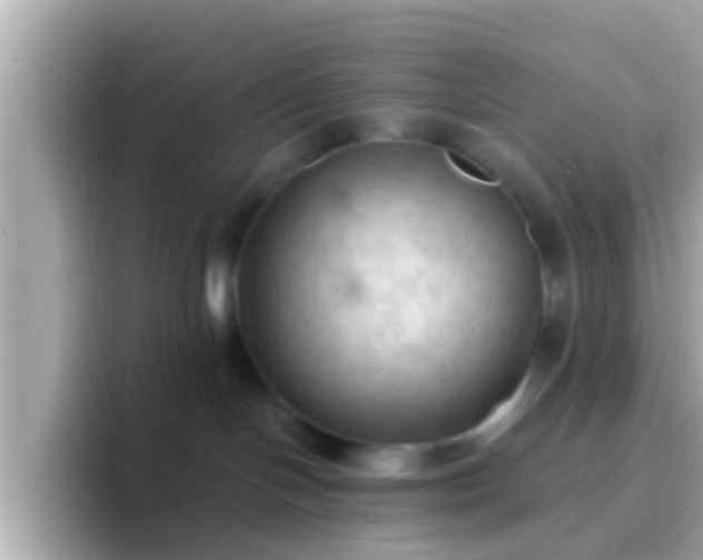 X0000096680094200802121220