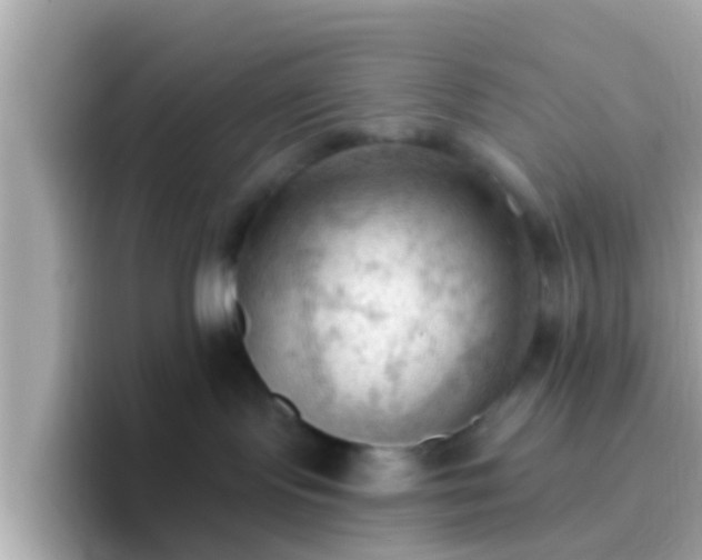 X0000096680095200802121220
