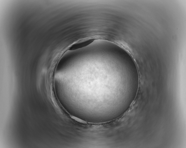 X0000096680097200802121220