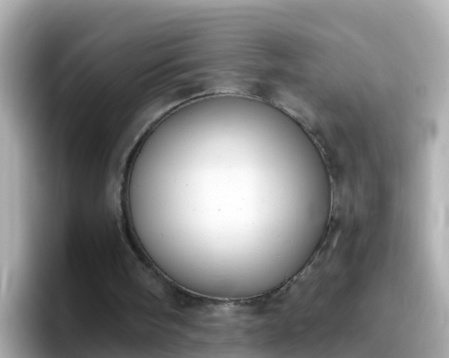 X0000096680098200802121220