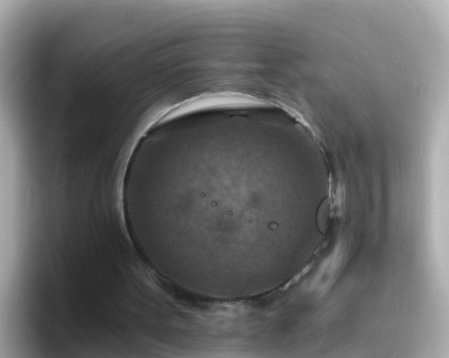 X0000096680099200802121220