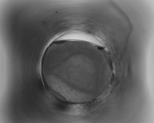 X0000096680100200802121220