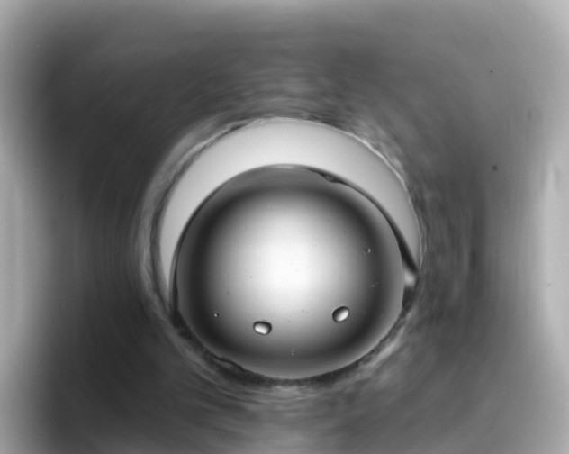 X0000096680101200802121220