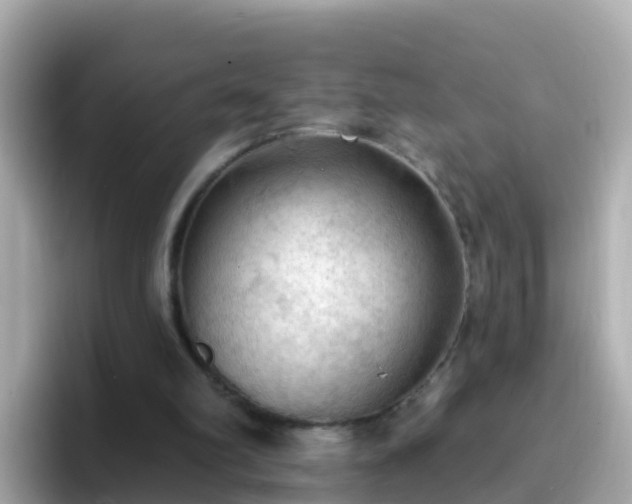X0000096680102200802121220