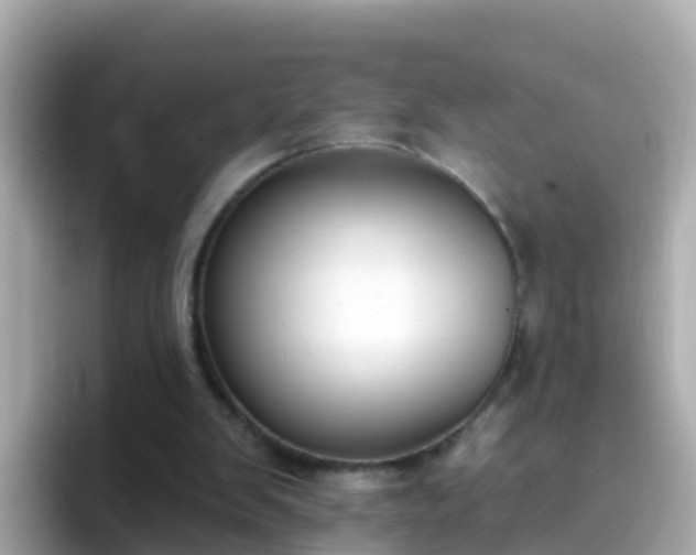 X0000096680103200802121220