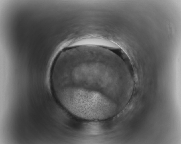 X0000096680104200802121220
