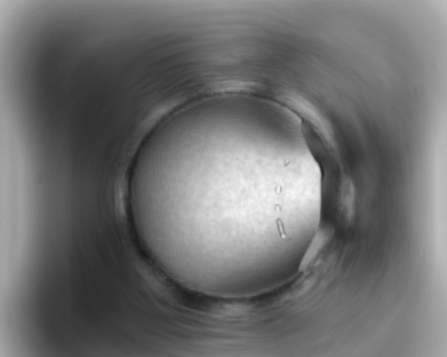X0000096680107200802121220