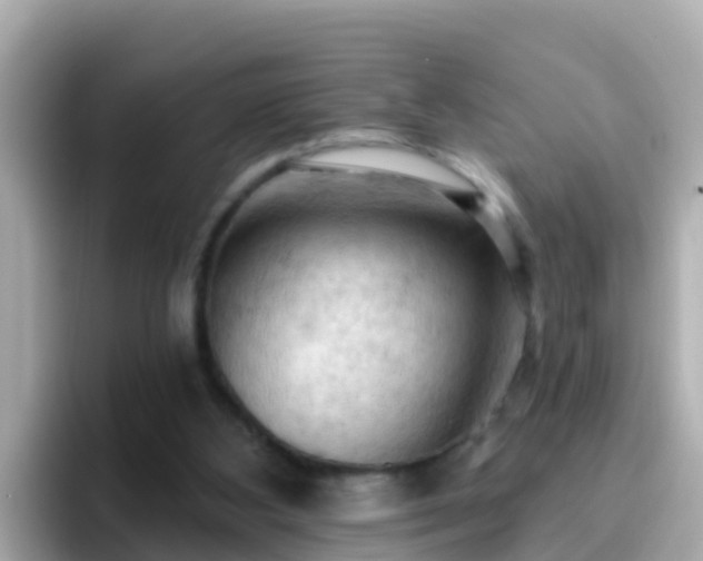 X0000096680108200802121220