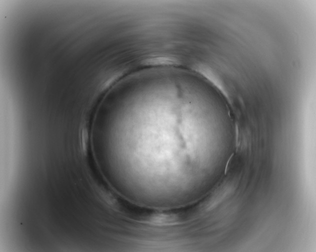 X0000096680109200802121220