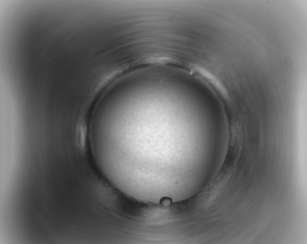 X0000096680110200802121220