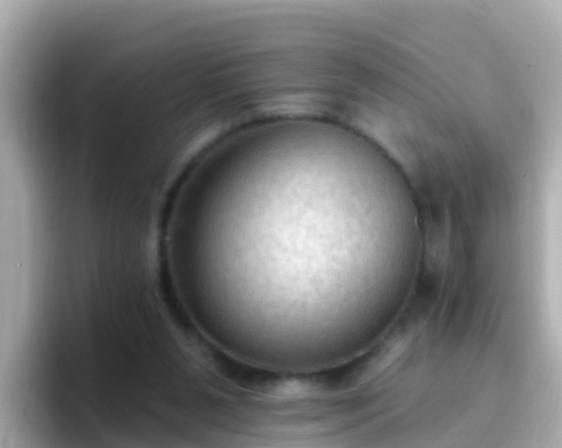 X0000096680111200802121220