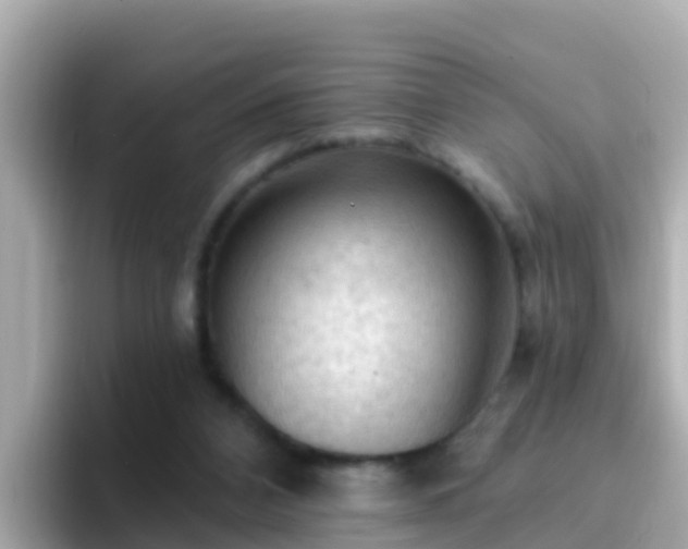 X0000096680112200802121220