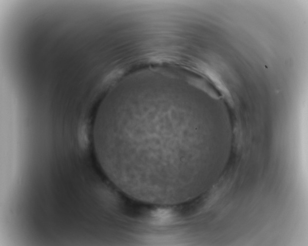 X0000096680114200802121220