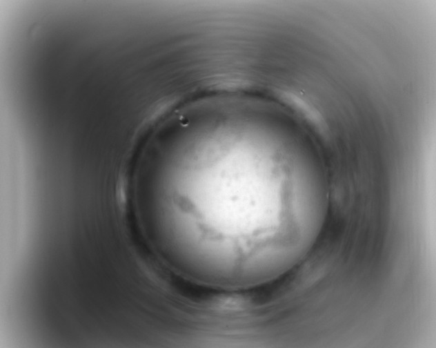 X0000096680115200802121220