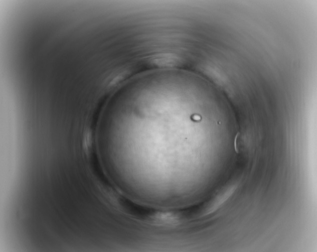 X0000096680117200802121219