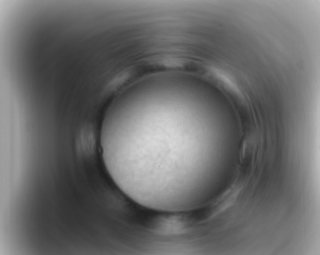 X0000096680120200802121219