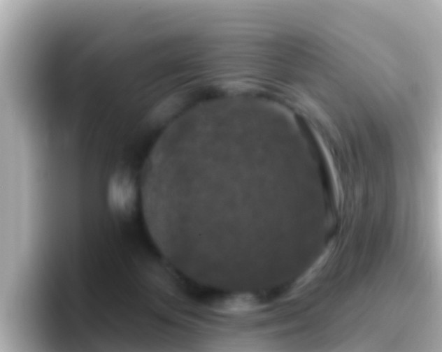 X0000096680124200802121219