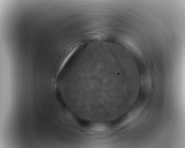 X0000096680127200802121219