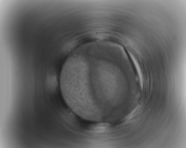 X0000096680128200802121219