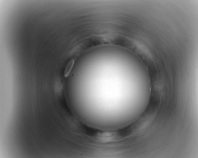 X0000096680129200802121219