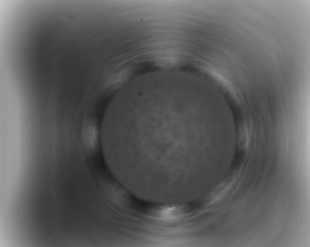 X0000096680130200802121219
