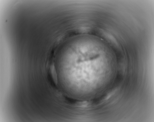 X0000096680131200802121219