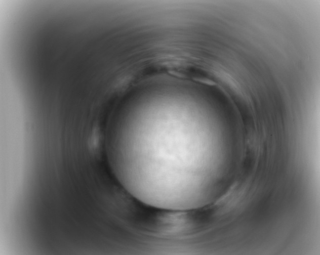 X0000096680132200802121219