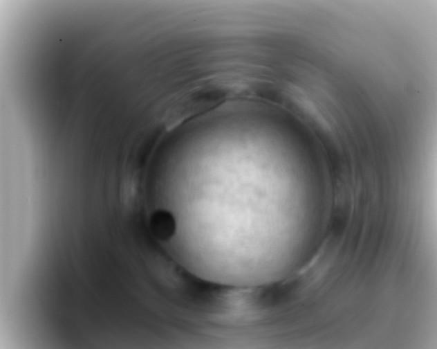 X0000096680136200802121219