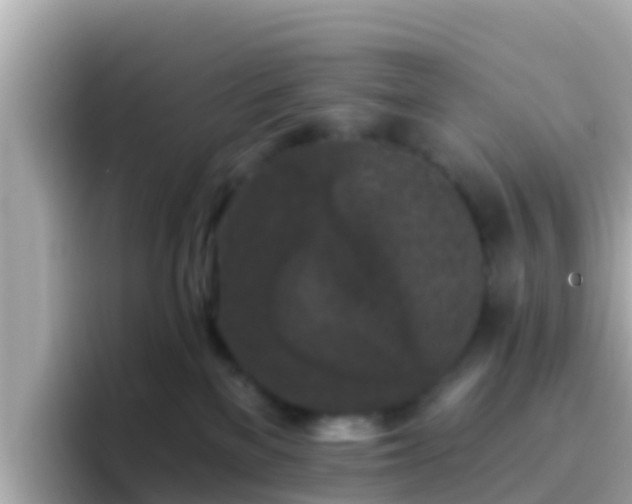 X0000096680137200802121219