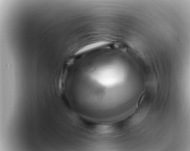X0000096680139200802121219