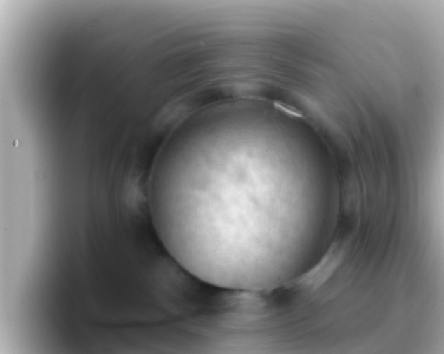 X0000096680140200802121219