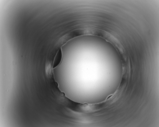 X0000096680142200802121219