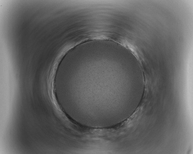 X0000096680145200802121219